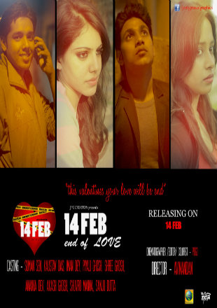 14 Th February (2016) Hindi 720P Webhd (Teamdmr)
