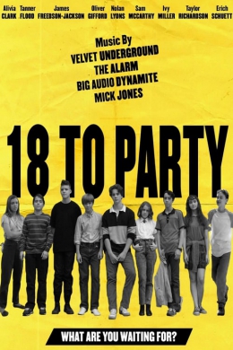 18 To Party 2019 720P Webrip 800Mb X264-Galaxyrg