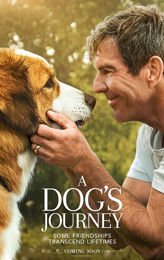 A Dogs Journey 2019 720P Brrip X264-Mkvcage Com