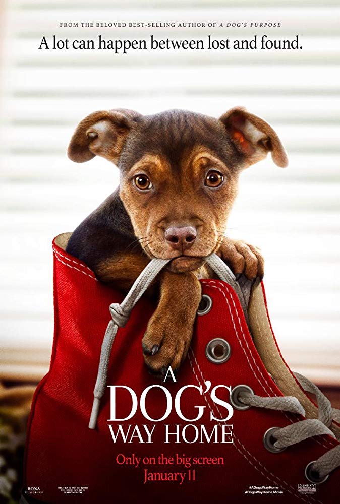 A Dogs Way Home 2019 1080P Brrip X264-Mkvcage Ws