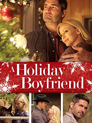 A Holiday Boyfriend 2019 720P Webrip 800Mb X264-Galaxyrg