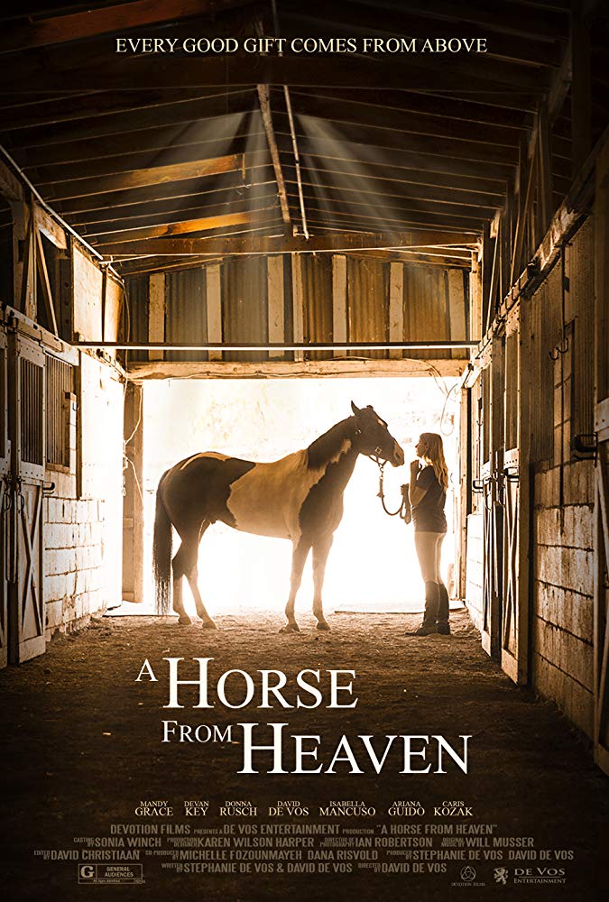 A Horse From Heaven 2018 720P Webrip 800Mb X264-Galaxyrg