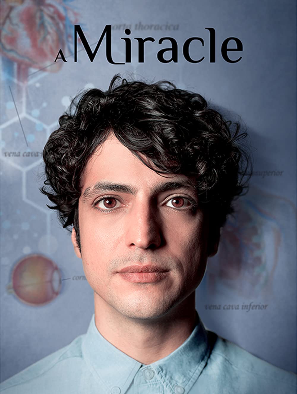 A Miracle (Tv Series 2019–2021) 720P