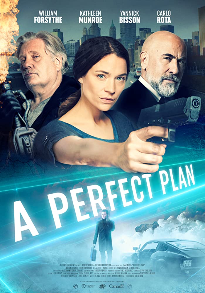 A Perfect Plan 2020 720P Webrip 800Mb X264-Galaxyrg