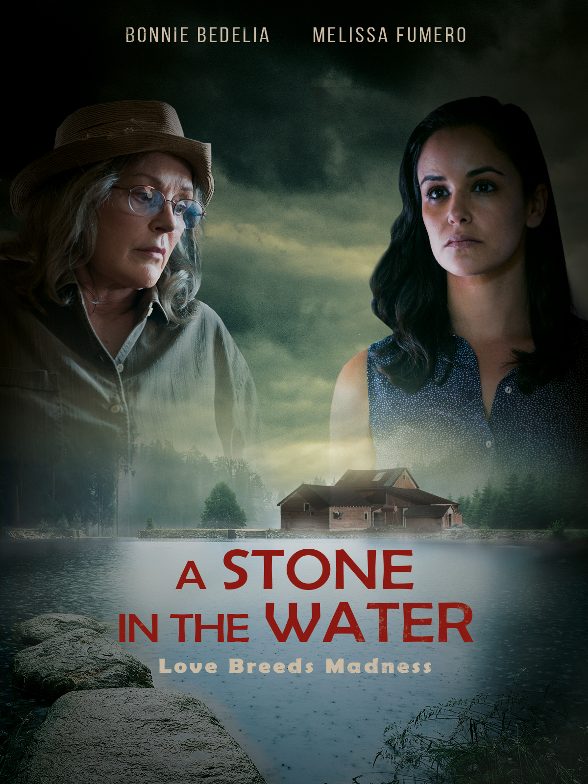 A Stone In The Water 2019 720P Webrip 800Mb X264-Galaxyrg