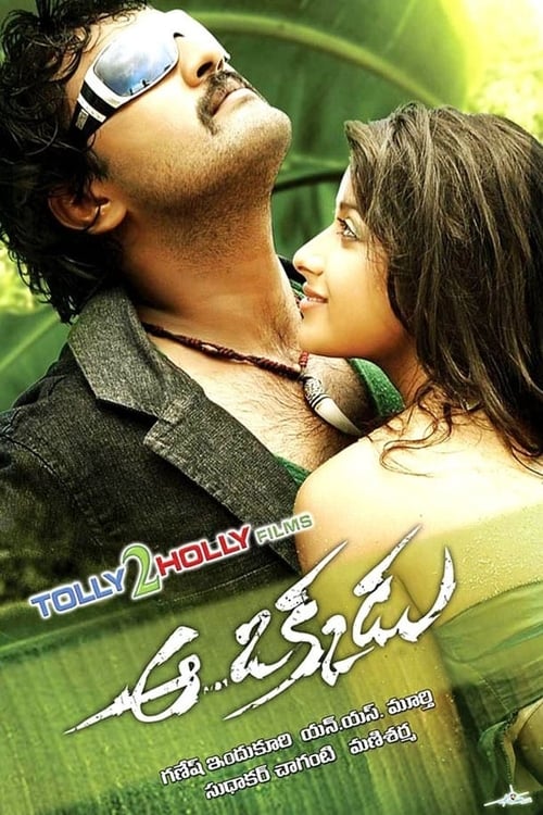 Aa Okkadu (2009) Hindi Dubbed 720P Webrip X264 Aac - Movcr
