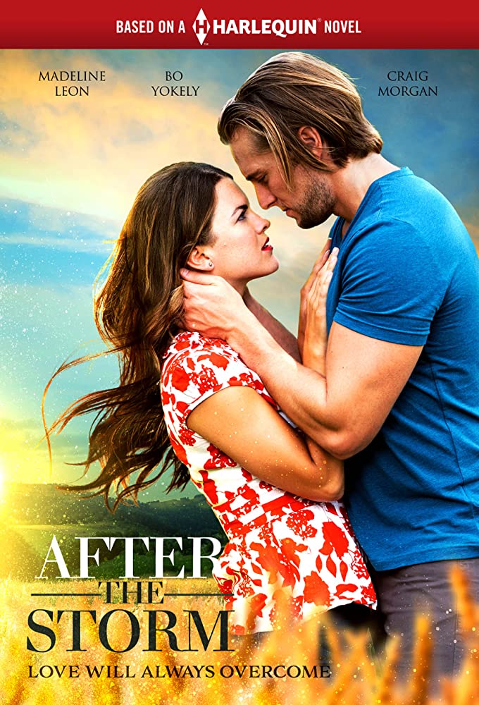 After The Storm 2019 720P Amzn Webrip 800Mb X264-Galaxyrg