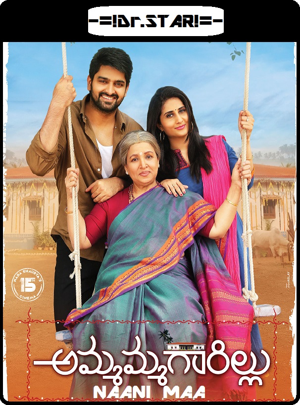 Ammammagarillu (2018) Uncut 720P Hdrip X264 [Dual Audio][Hindi Dd2 0 Telugu 2 0]
