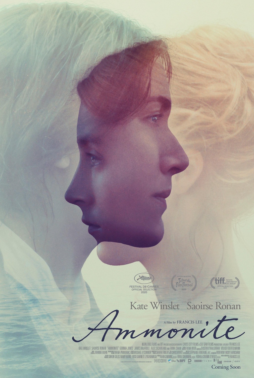 Ammonite (2020) 1080P Bluray X265 Hevc 10Bit Aac 5 1 Esub-Psa