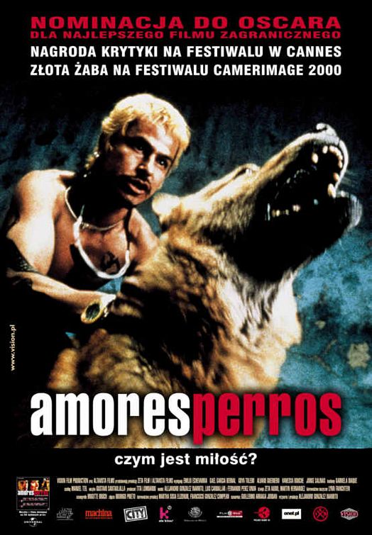 Amores Perros (2000) Spanish 1080P Bluray X265 Hevc 10Bit Aac 5 1 Esub-Tigole