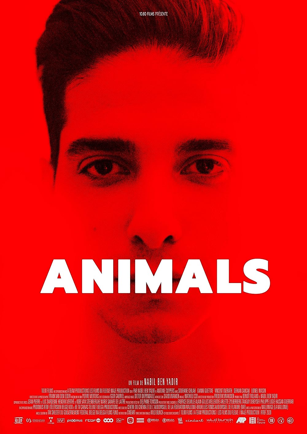 Animals 2021 French 720P Bluray X264 Aac-[Yts Mx]