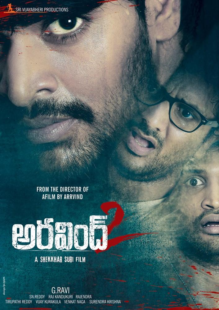Aravind 2 (2013) 720P Hdrip X264 [Dual Audio] [Hindi - Telugu] - 7Star