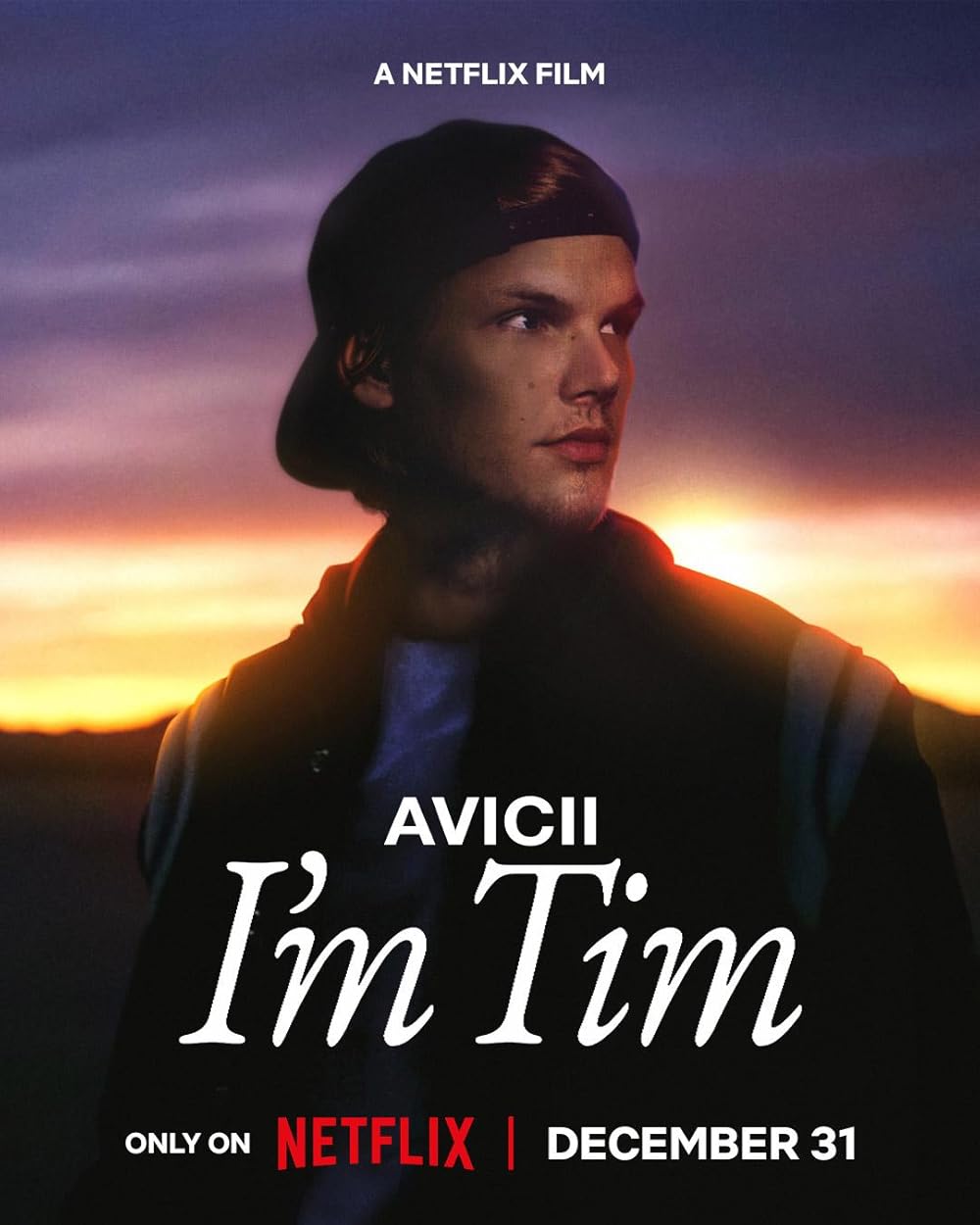 Avicii Im Tim (2024) 1080P Nf-Web X264 Msubs [Dual Audio][Hindi 5 1 English 5 1] -Mkvc