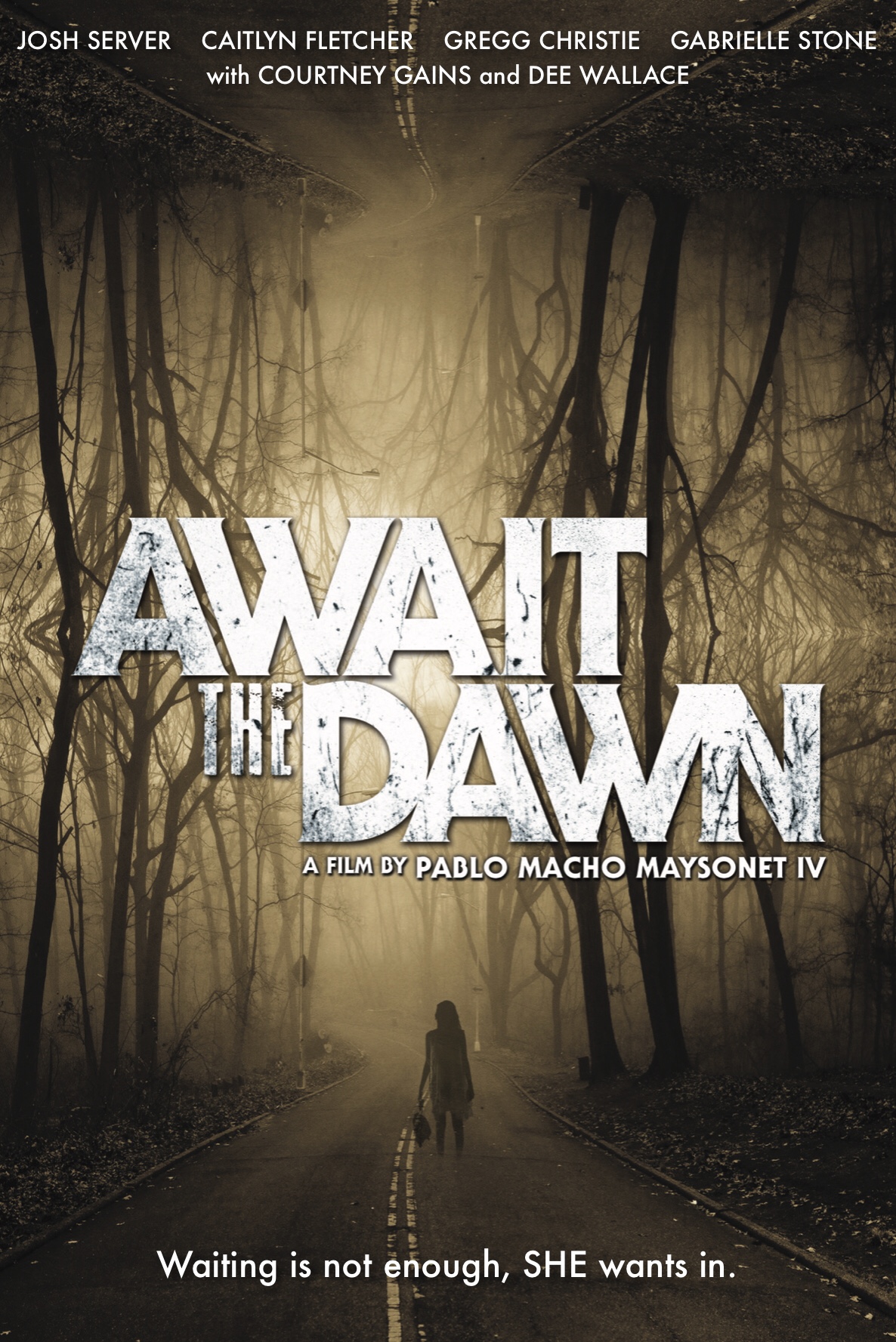 Await The Dawn 2020 720P Webrip 800Mb X264-Galaxyrg