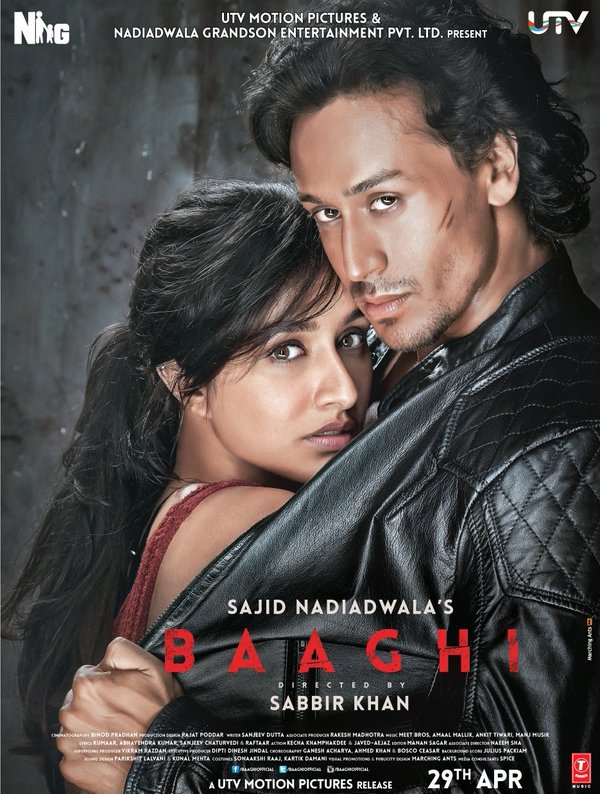 Baaghi (2016) Hindi 1080P Bluray X264 Dd5 1 Esub - Mkvcinemas