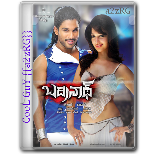 Badrinath-[Sangharsh Aur Vijay] (2011) 720P Brrip X264