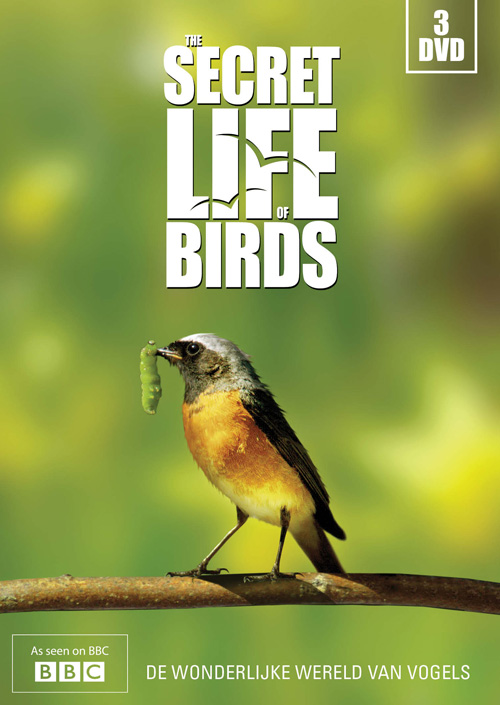 Bbc The Secret Life Of Birds Ep01 Dawn Chorus 2012 720P Bluray X264-Pahe In