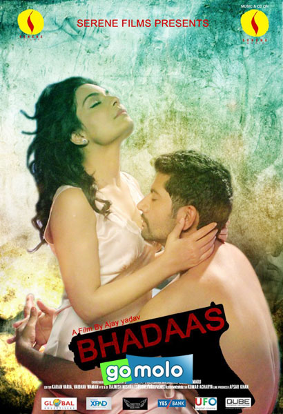 Bhadaas 2013 Hindi Movies Dvdrip X264 Aac