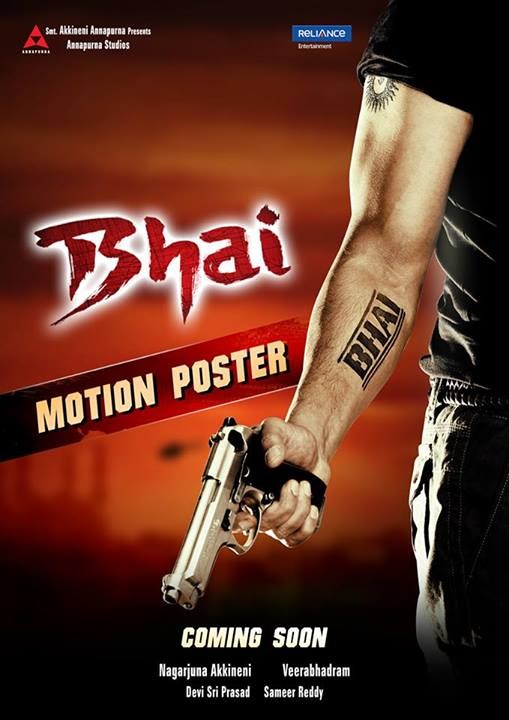 Bhai (2013) Dthrip X264 Telugu Movie 1Cd