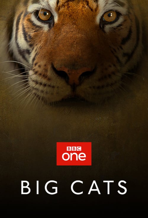 Big Cats S01E01 720P Web-Hd X264 500Mb-Pahe In