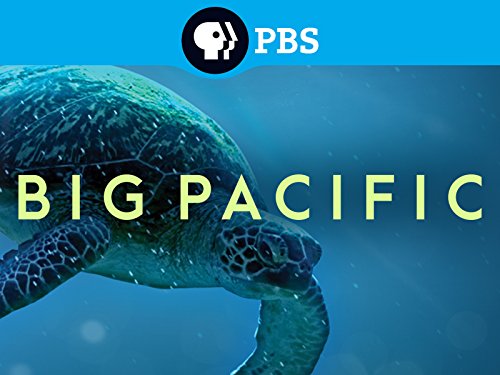 Big Pacific S01E01 Mysterious 720P Bluray X264-Pahe In