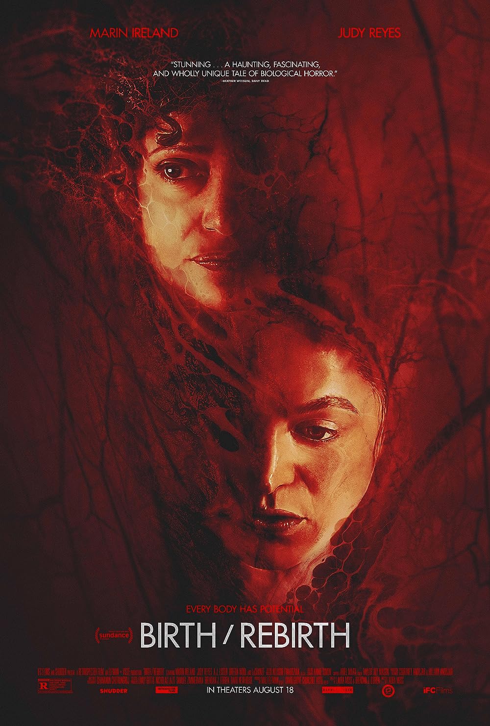 Birth Rebirth 2023 720P Amzn Webrip 800Mb X264-Galaxyrg