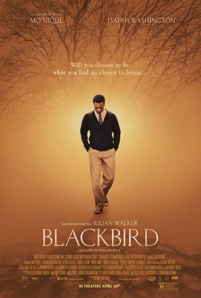 Blackbird 2014 720P Brrip 900Mb Mkvcage