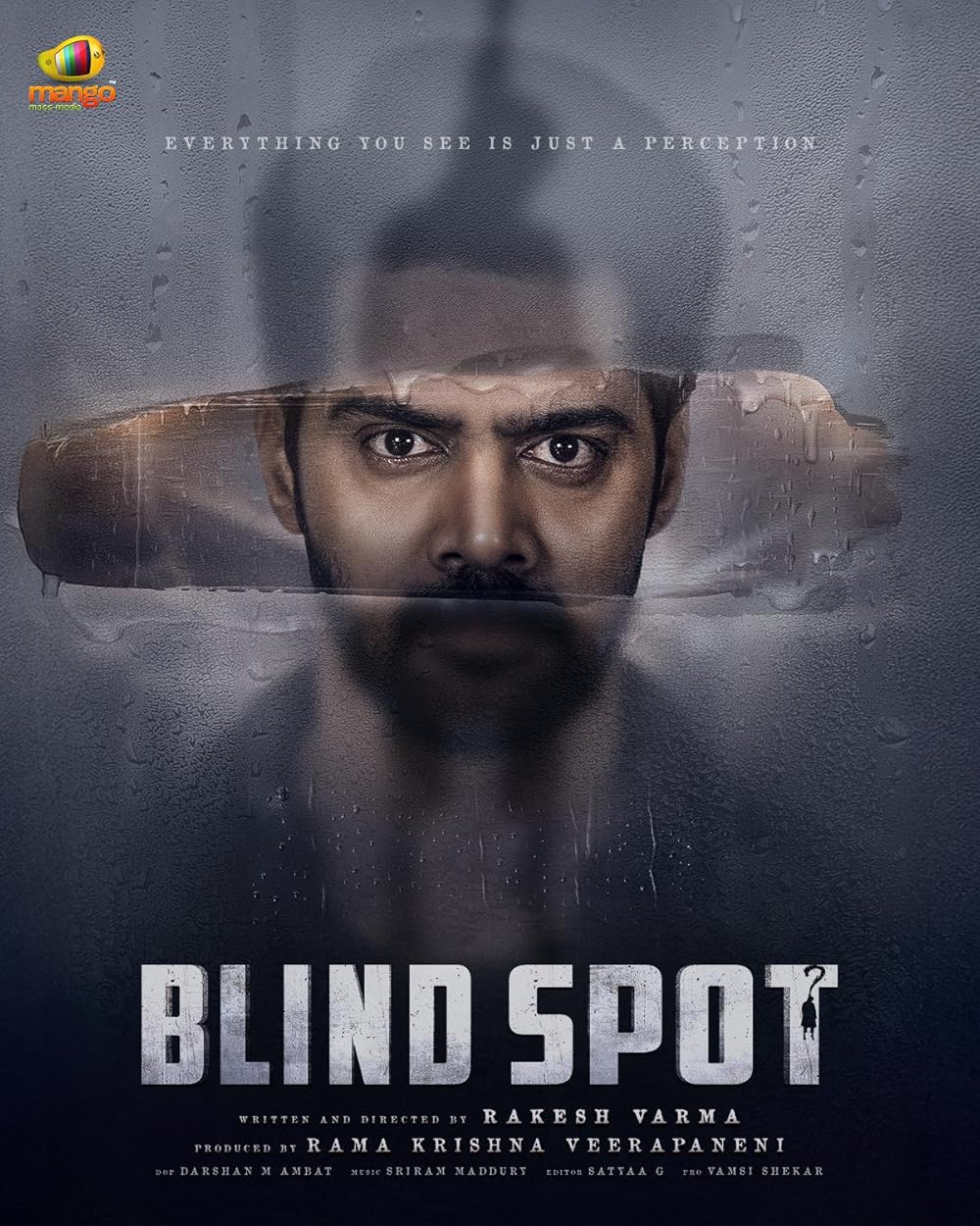 Blind Spot (2025) Uncut 720P Webrip X264 Esub [Dual Audio][Hindi 2 0 Telugu 5 1] -Mkvc
