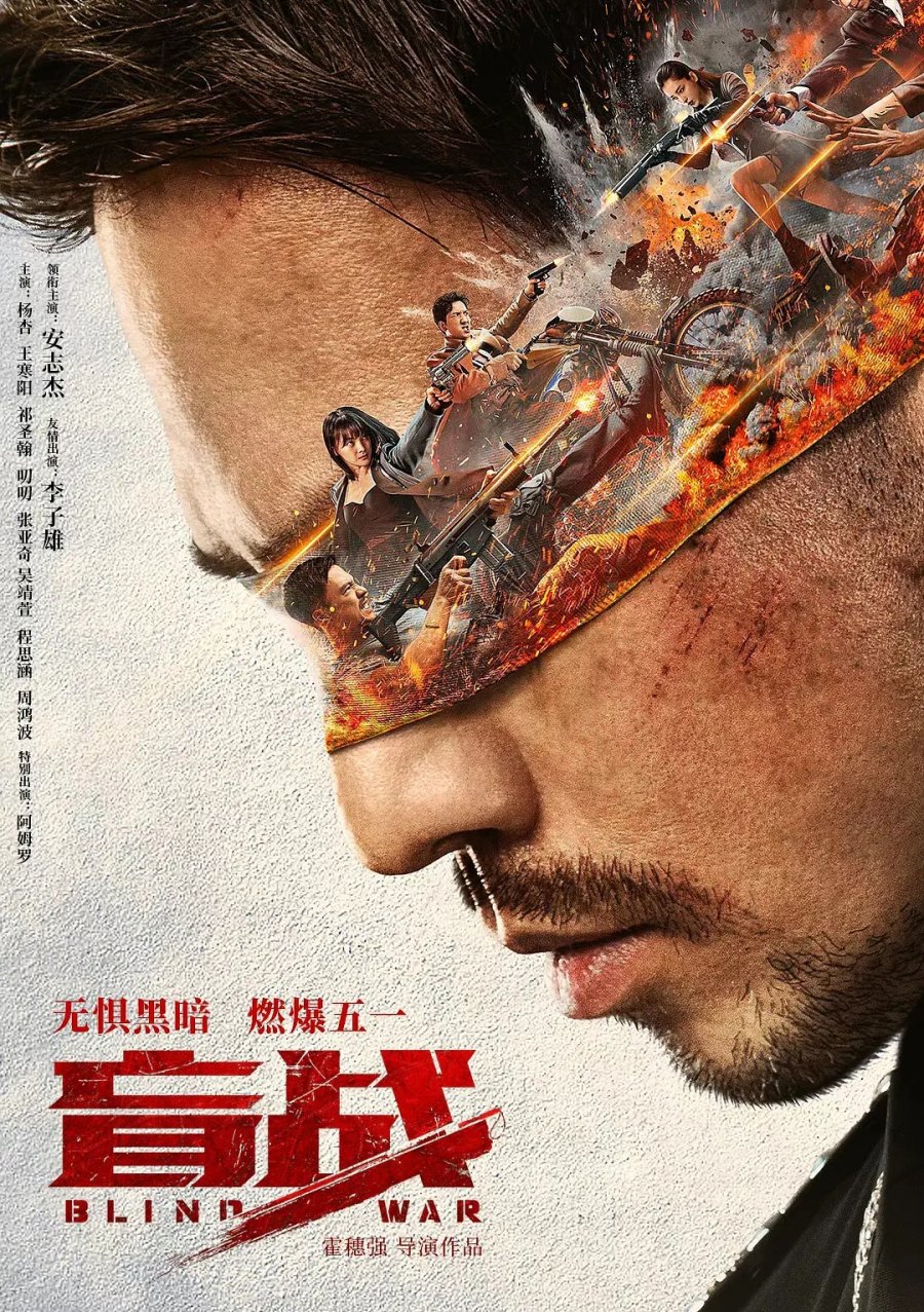 Blind War 2022 Chinese 1080P Web-Dl X264 Msubs-Mkvking