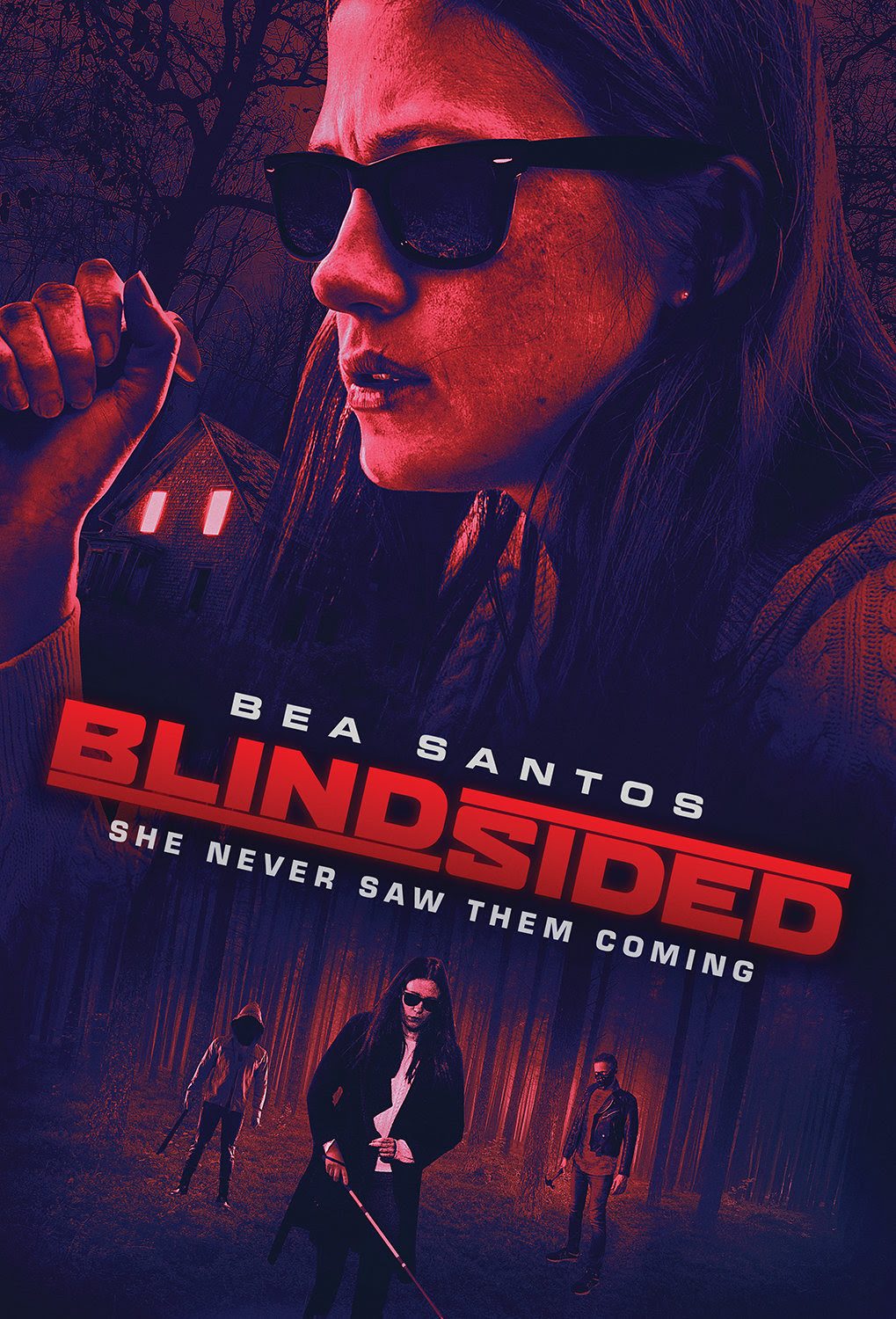Blindsided 2018 720P Webrip 800Mb X264-Galaxyrg