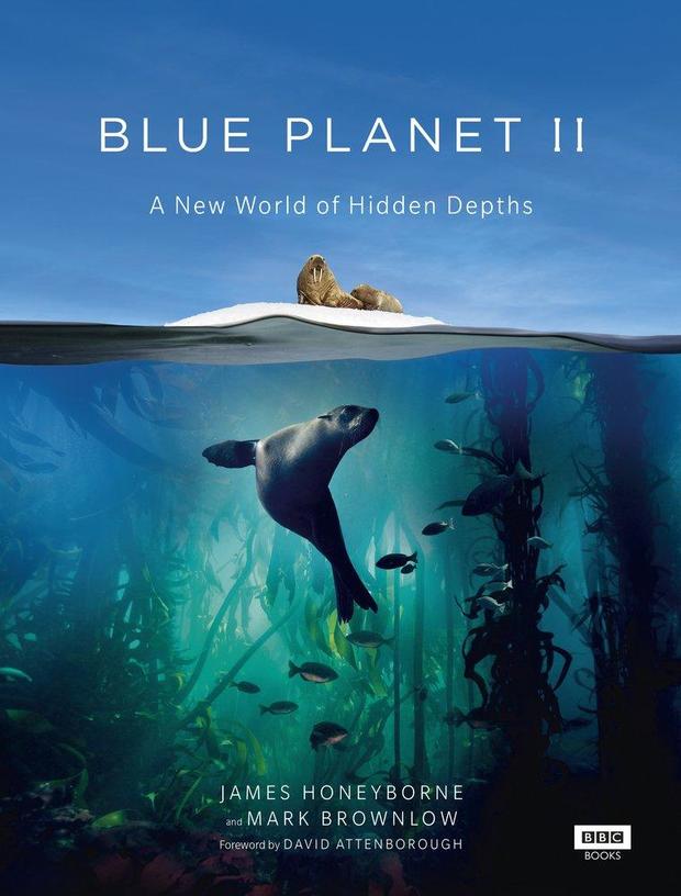 Blue Planet Ii S01E01 720P Brrip Mkvcage