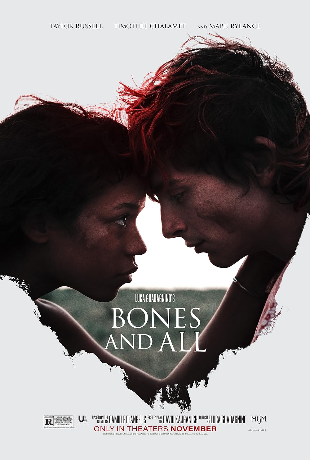 Bones And All (2022) 1080P Bluray X265 Hevc Esub [Dual Audio][Hindi 5 1 English 5 1] -Mkvc