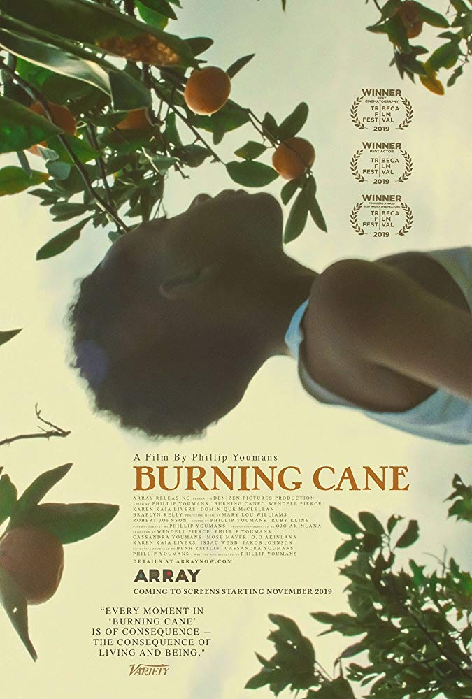 Burning Cane 2019 720P Nf Webrip 800Mb X264-Galaxyrg