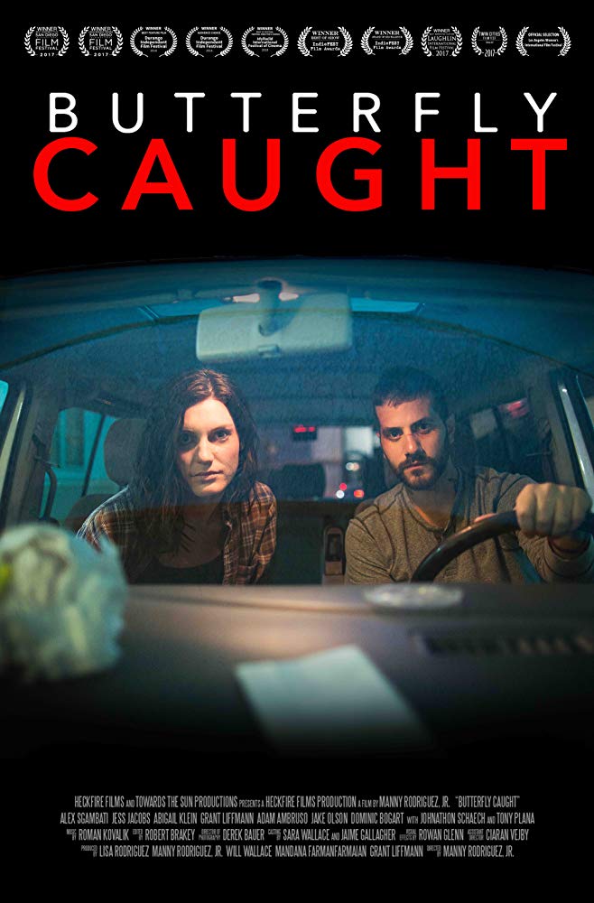 Butterfly Caught 2017 720P Brrip X264 Mkvcage Ws