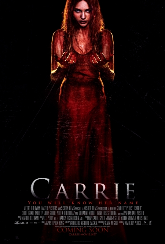 Carrie (2013) 720P Bluray X264 Esub [Dual Audio][Hindi 2 0 English 5 1] -Mkvc