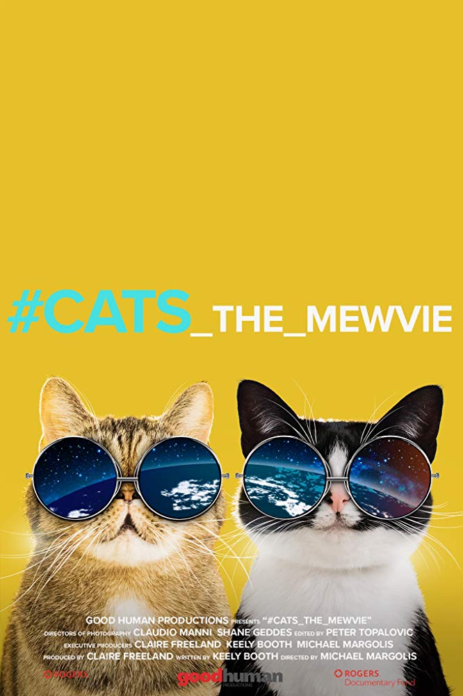 Cats The Mewvie 2020 720P Nf Webrip 800Mb X264-Galaxyrg