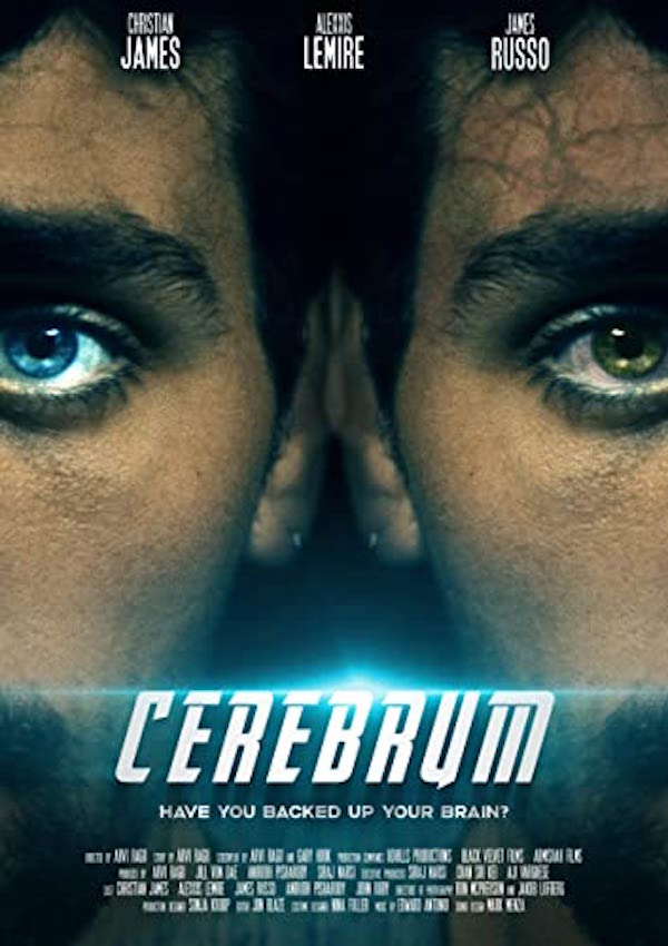 Cerebrum 2021 720P Webrip 800Mb X264-Galaxyrg