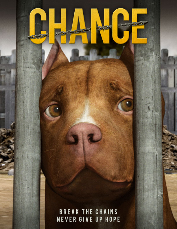Chance 2019 720P Amzn Webrip 800Mb X264-Galaxyrg