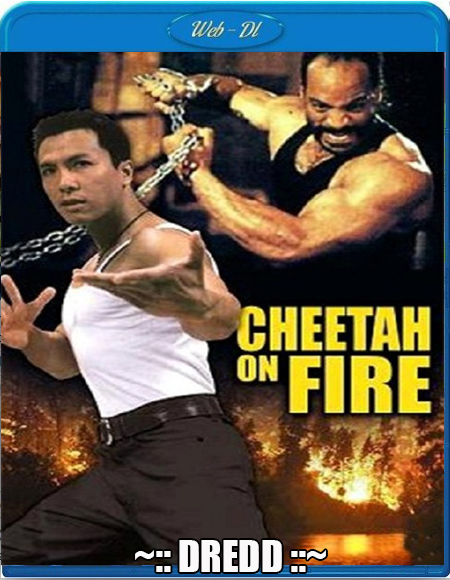 Cheetah On Fire (1992) 720P Web-Dl X264 [Dual Audio][Hindi Dd2 0 Chinese 2 0]