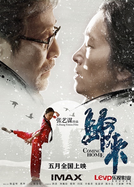 Coming Home 2014 720P Brrip 950Mb Mkvcage