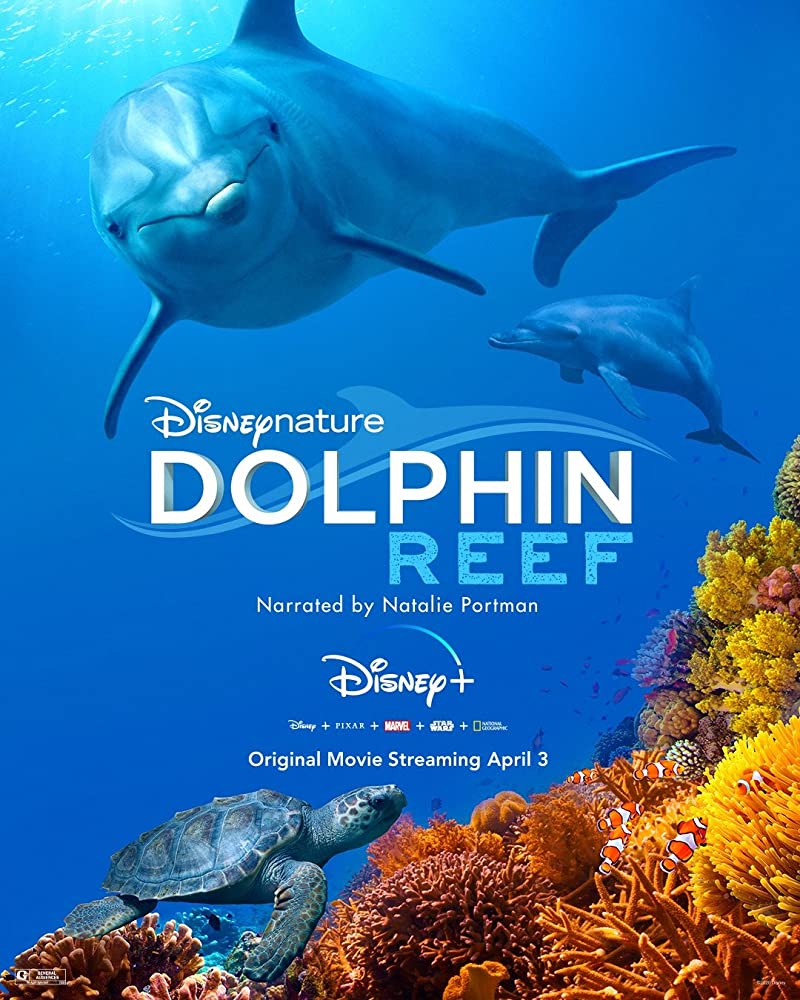 Dolphin Reef 2020 720P Webrip 800Mb X264-Galaxyrg