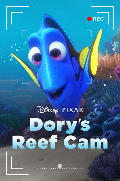 Dorys Reef Cam 2020 720P Webrip 800Mb X264-Galaxyrg