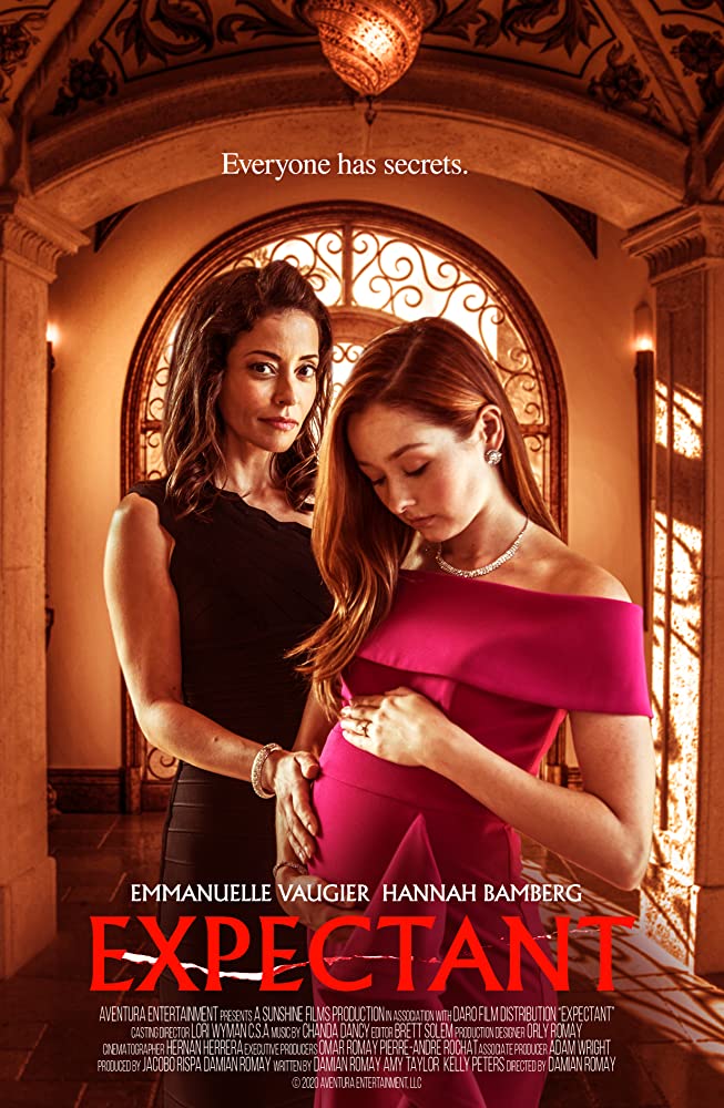 Dying For Motherhood Aka Expectant 2020 720P Hdtv 800Mb X264-Galaxyrg