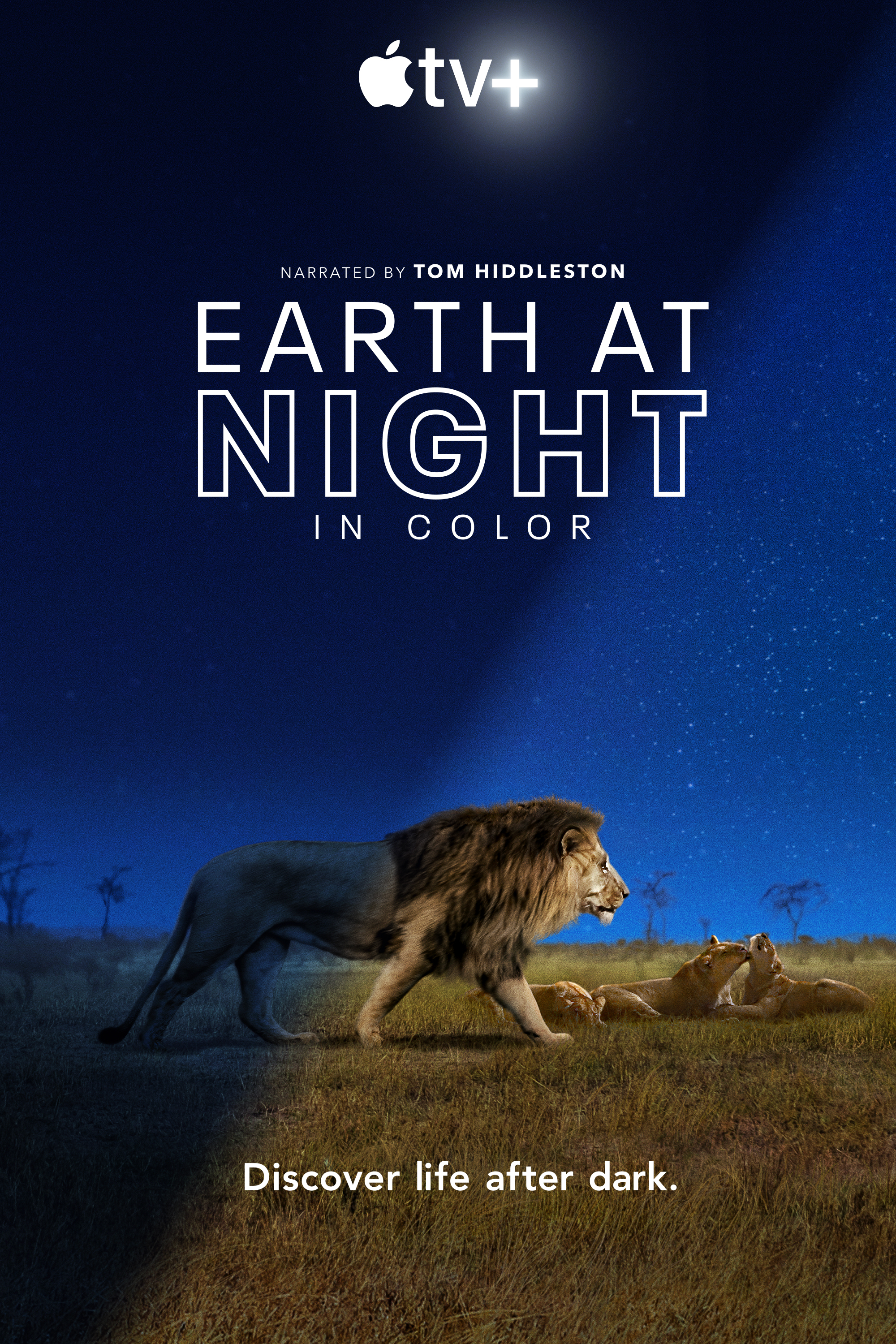 Earth At Night In Color (Tv Documentary 2020– ) 720P [Dual Audio]