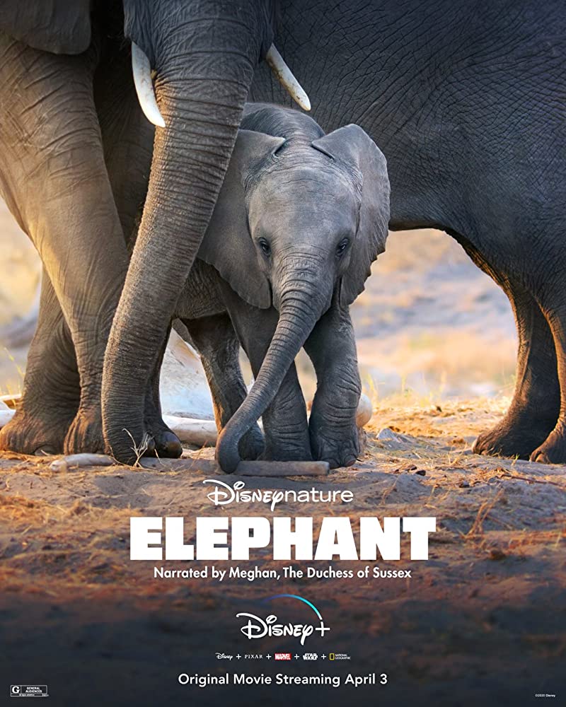 Elephant 2020 720P Webrip 800Mb X264-Galaxyrg