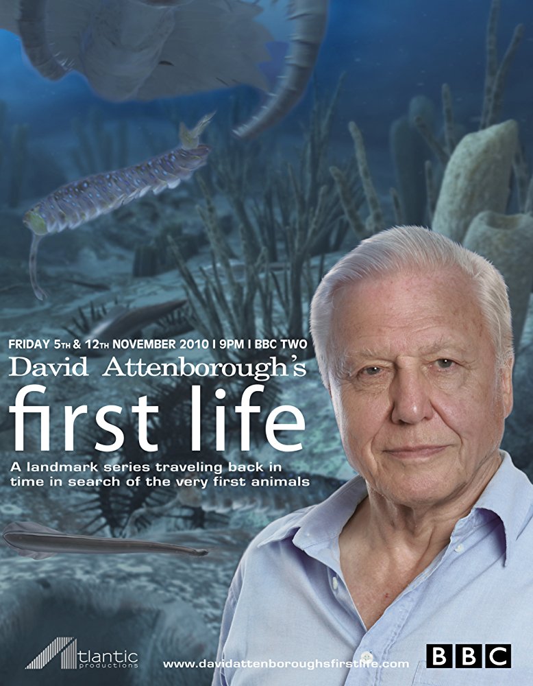 First Life 2010 E01 Arrival 720P Bluray X264 500Mb-Pahe In