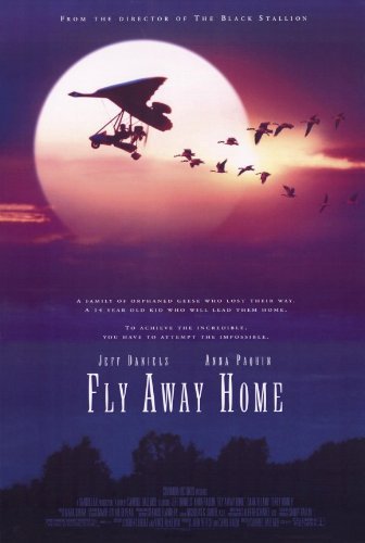 Fly Away Home (1996) 1080P Bluray X265 Hevc 10Bit Ac3 Msubs-Highcal