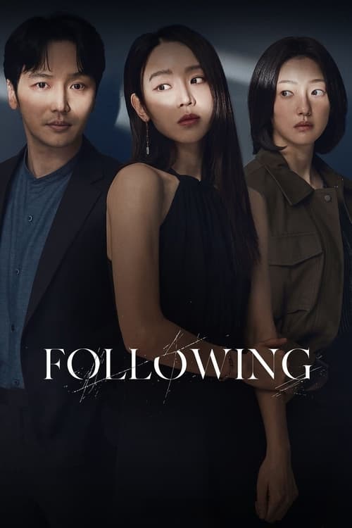 Following (2024) 720P Amzn-Web X264 Esub [Dual Audio][Hindi 2 0 Korean 5 1] -Msmod