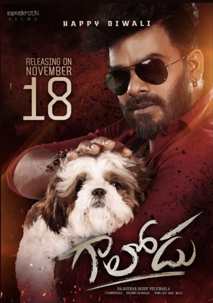 Gaalodu (2022) Uncut 720P Webrip X264 Esub [Dual Audio][Hindi 5 1 Telugu 5 1] -Dmv