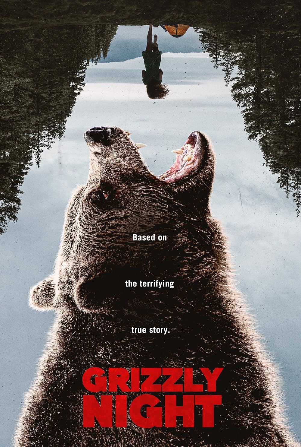 Grizzly Night 2026 720P Web-Dl X264 Esub-Msmod